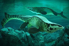 Tylosaurus rex: il nuovo “T. rex” dei mari del Cretaceo