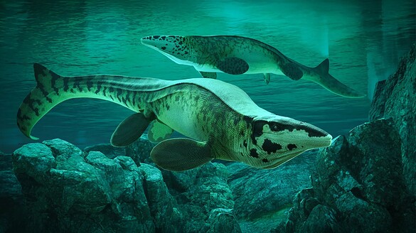 Tylosaurus rex: il nuovo “T. rex” dei mari del Cretaceo