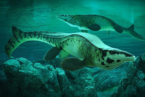 Tylosaurus rex: il nuovo “T. rex” dei mari del Cretaceo