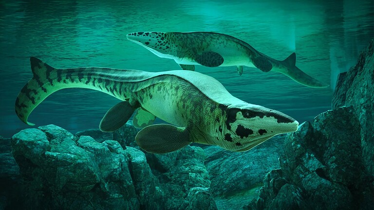 Tylosaurus rex: il nuovo "T. rex" dei mari del Cretaceo