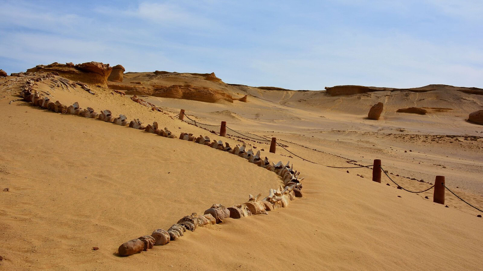 Tombe nel deserto del Sudan: 260 monumenti svelati dai satelliti