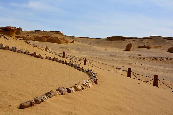 Tombe nel deserto del Sudan: 260 monumenti svelati dai satelliti