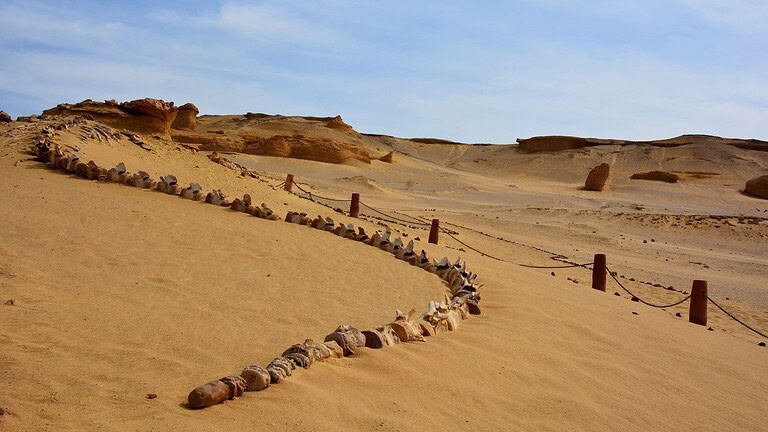 Tombe nel deserto del Sudan: 260 monumenti svelati dai satelliti