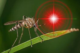 Un laser con l’AI per uccidere le zanzare: il killer definitivo