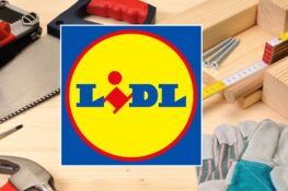 Lidl Parkside, idropulitrice a meno di 50 euro e tante offerte da giugno