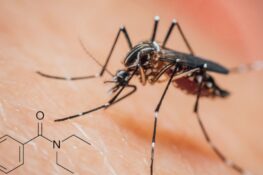 Le zanzare amano il DEET: il repellente anti zanzara ora le attira