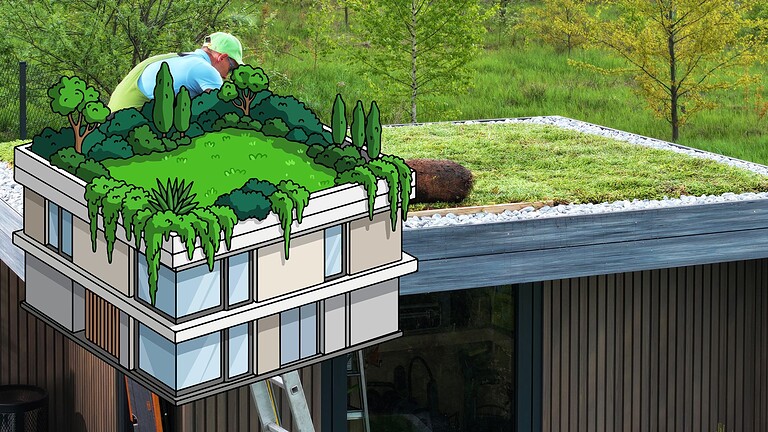 Tetti verdi sulle città: lo scudo green contro il caldo e l'ansia