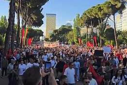 Rivoluzione dei fenicotteri in Albania: la protesta contro il resort di Kushner