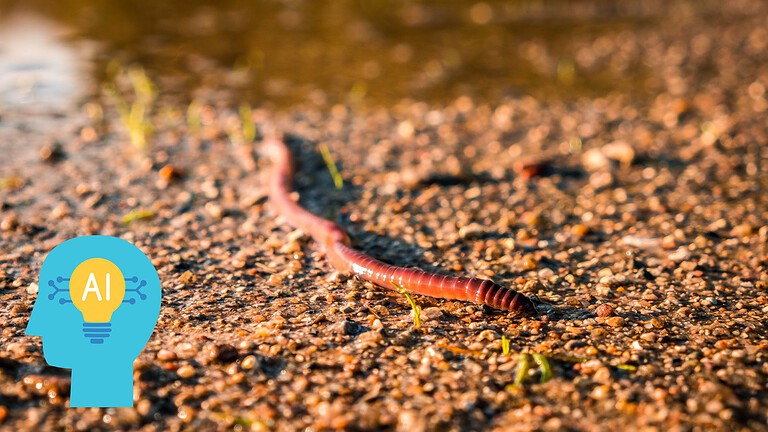 Worm IA che ragiona da solo: la nuova minaccia che spaventa gli esperti