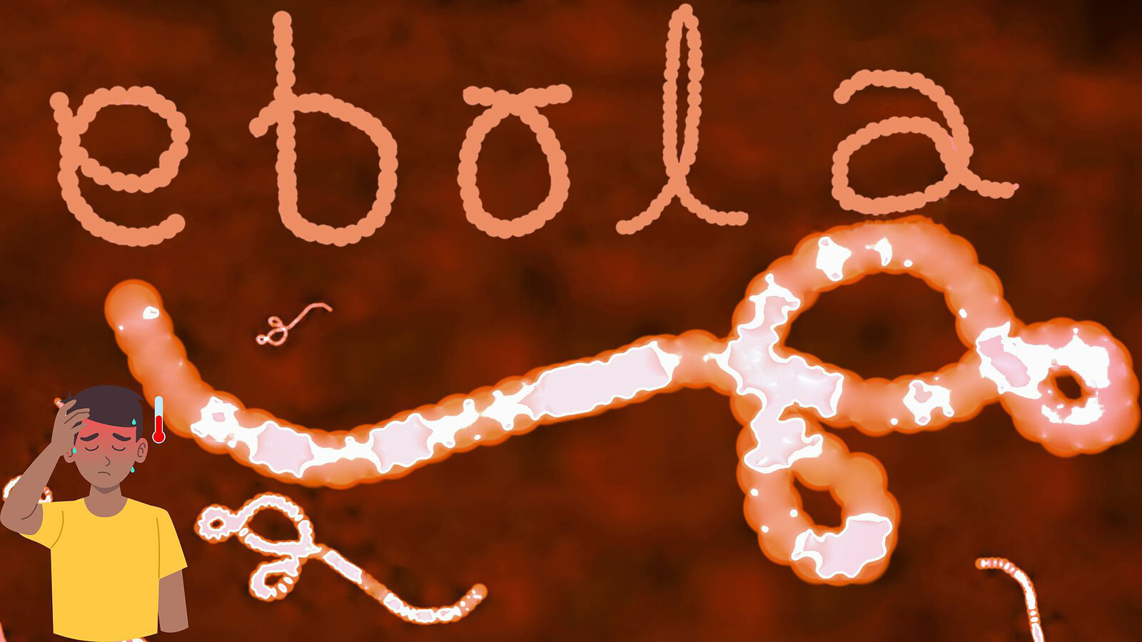 Ebola, nuovo focolaio in Congo: gli esperti temono il peggio