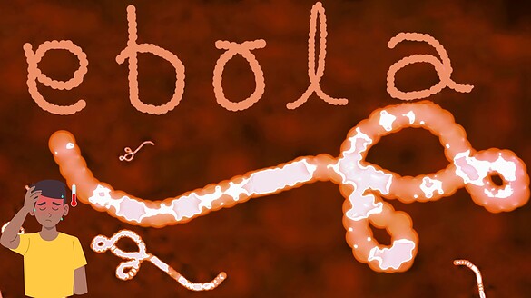 Ebola, nuovo focolaio in Congo: gli esperti temono il peggio