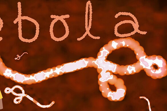 Ebola, nuovo focolaio in Congo: gli esperti temono il peggio