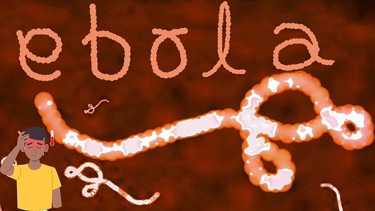 Ebola, nuovo focolaio in Congo: gli esperti temono il peggio