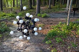 Argus, il robot sferico della Duke University che cammina su 20 gambe