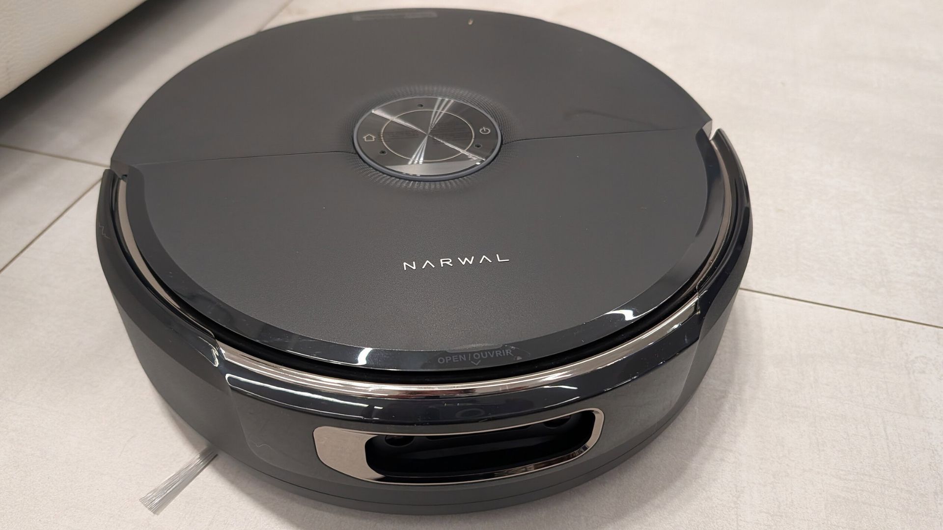 narwal - immagine 12 narwal - immagine 12
