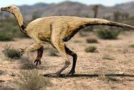 Quipalong henanensis: scoperto in Canada il dinosauro simile a uno struzzo
