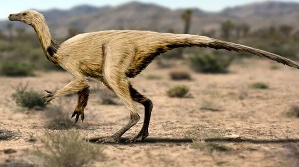 Quipalong henanensis: scoperto in Canada il dinosauro simile a uno struzzo