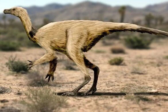 Quipalong henanensis: scoperto in Canada il dinosauro simile a uno struzzo