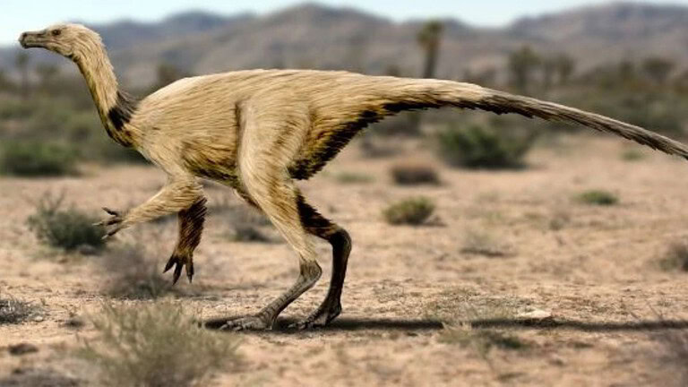 Quipalong henanensis: scoperto in Canada il dinosauro simile a uno struzzo