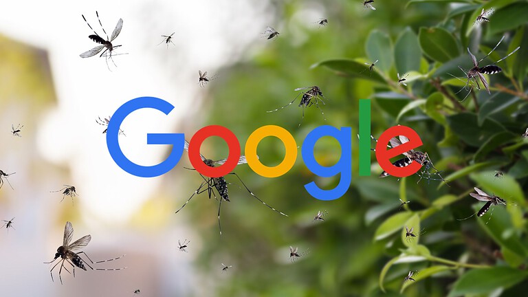 Google libera 32 milioni di zanzare sterili: il piano Debug contro le malattie