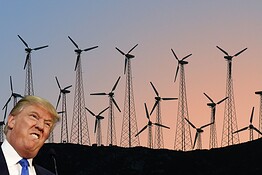Trump si arrende sull’eolico: la Casa Bianca ritira il ricorso