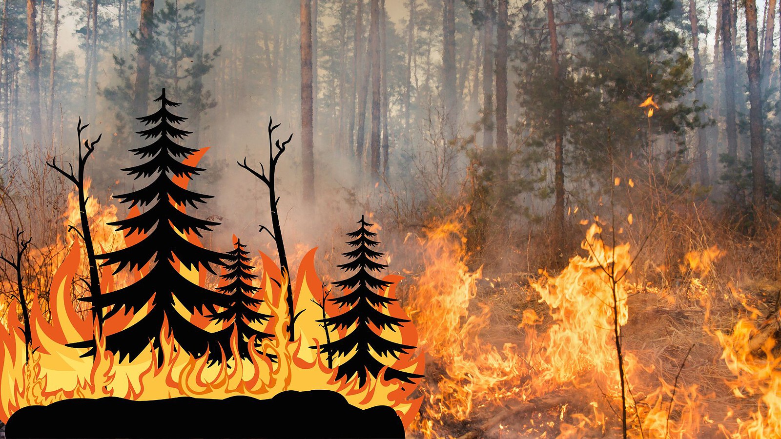 Incendi in Italia, nel 2025 bruciati 965 km²: il doppio del 2024