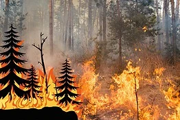 Incendi in Italia, nel 2025 bruciati 965 km²: il doppio del 2024