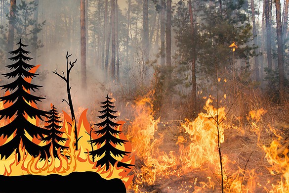 Incendi in Italia, nel 2025 bruciati 965 km²: il doppio del 2024