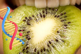 Gusto e DNA: ecco perché alcuni cibi ti sembrano disgustosi