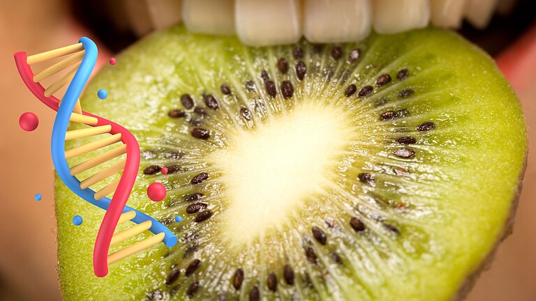 Gusto e DNA: ecco perché alcuni cibi ti sembrano disgustosi