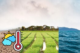 Dati sul clima cancellati da Trump: gli scienziati creano Climate.us