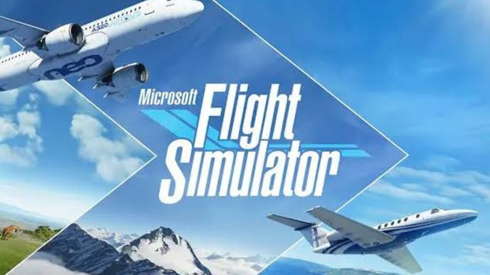 Microsoft rimuove MScenery da Flight Simulator dopo mesi di lamentele