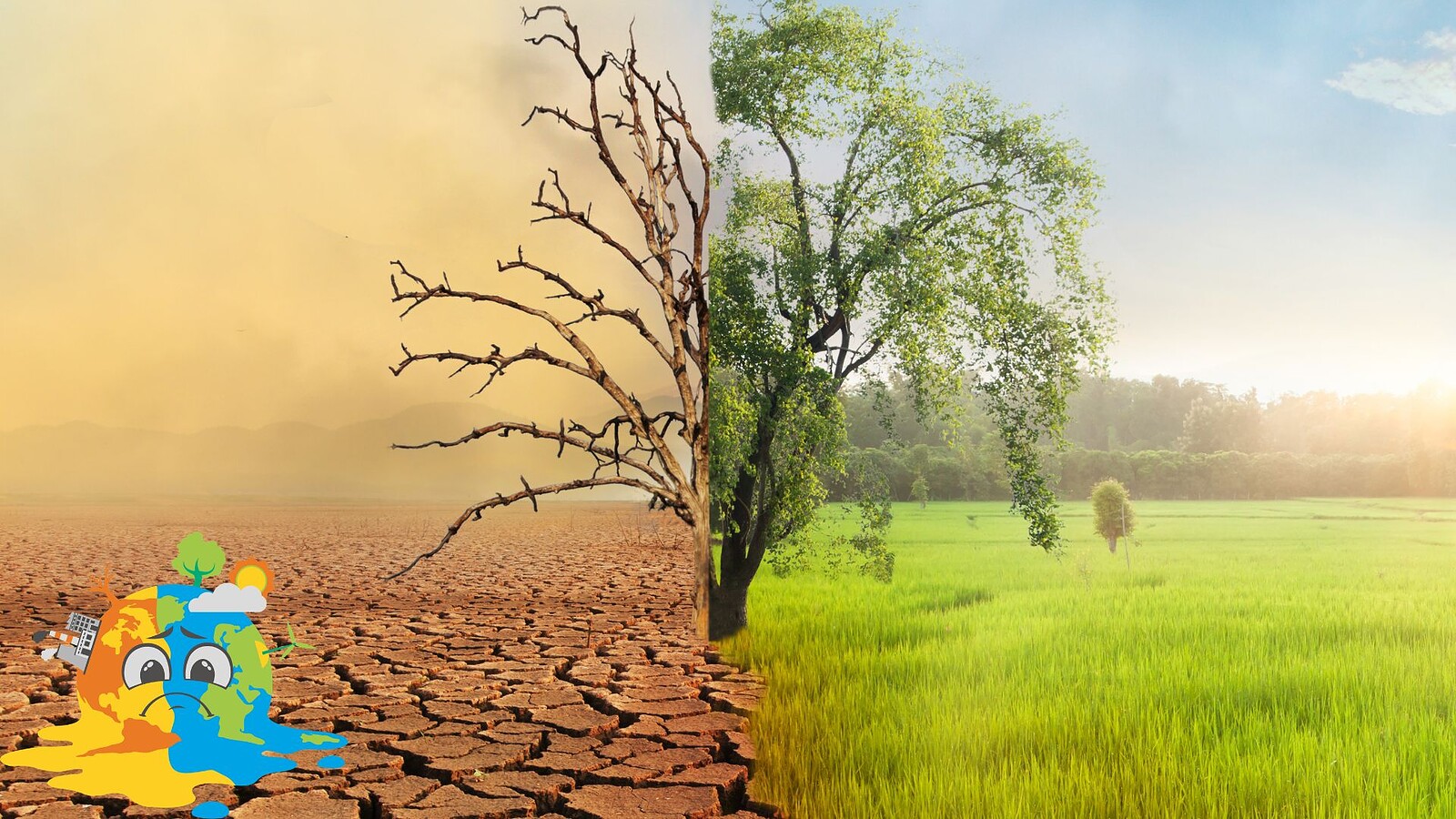 Cambiamento climatico, le specie temperate più a rischio dei tropici