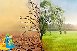 Cambiamento climatico, le specie temperate più a rischio dei tropici