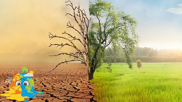 Cambiamento climatico, le specie temperate più a rischio dei tropici