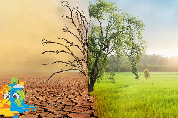 Cambiamento climatico, le specie temperate più a rischio dei tropici