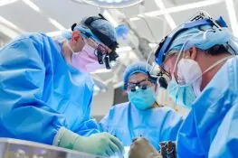 Xenotrapianto, primo trapianto al mondo di fegato e due reni da maiale a uomo