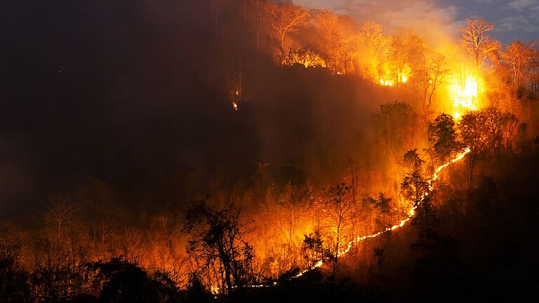 Incendi in Spagna, lo studio: roghi ogni 6 anni per il clima