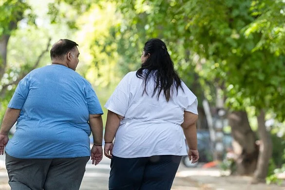 MTCH2, la proteina Mitch che potrebbe cambiare la lotta all’obesità