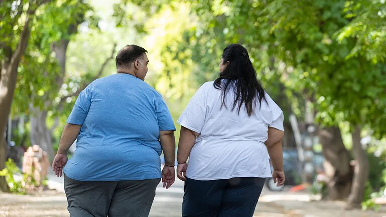 MTCH2, la proteina Mitch che potrebbe cambiare la lotta all'obesità