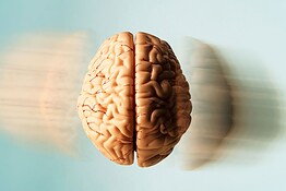 Desajuste evolutivo: perché la vita moderna ci fa ammalare