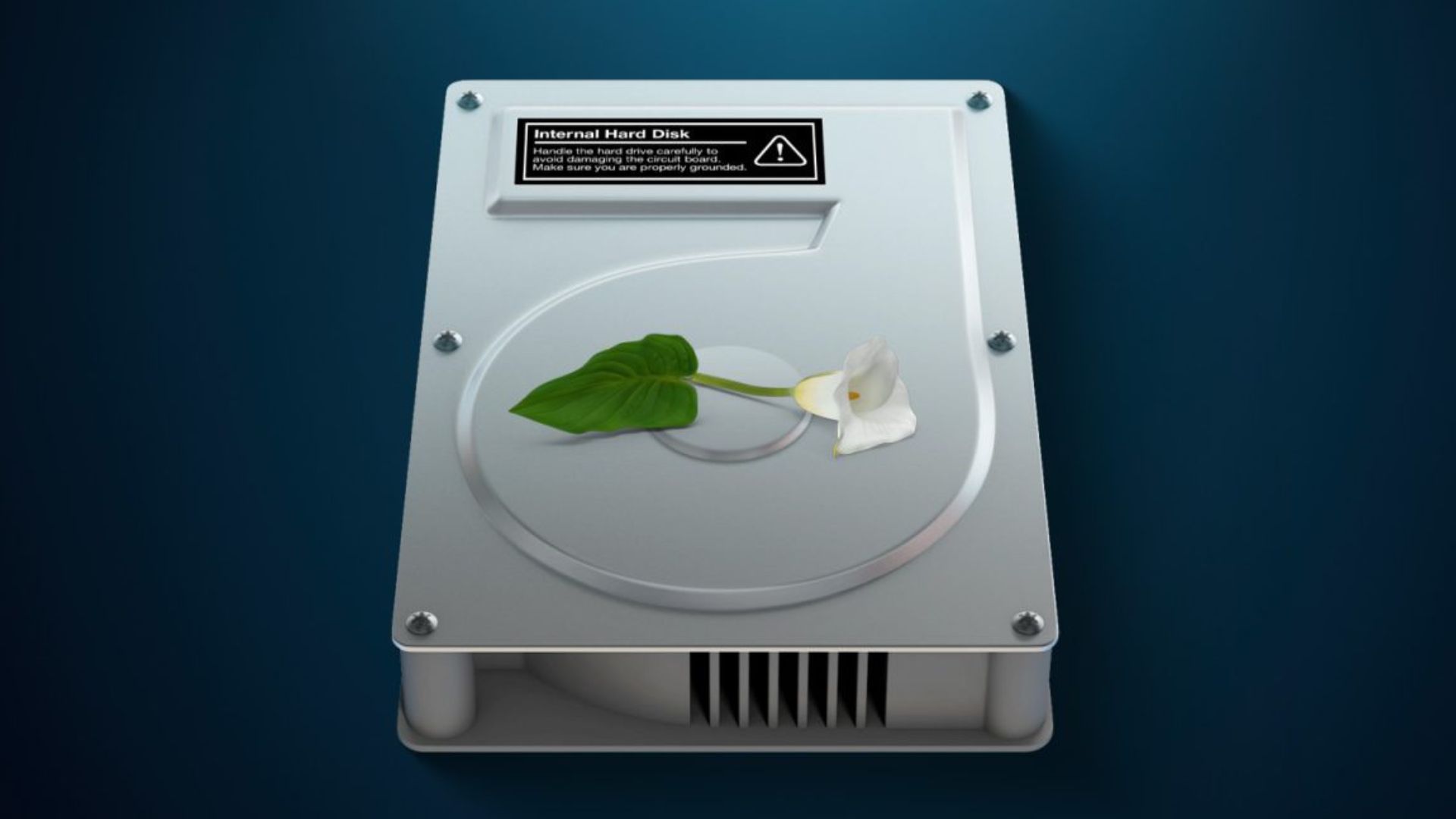 MacOS 28