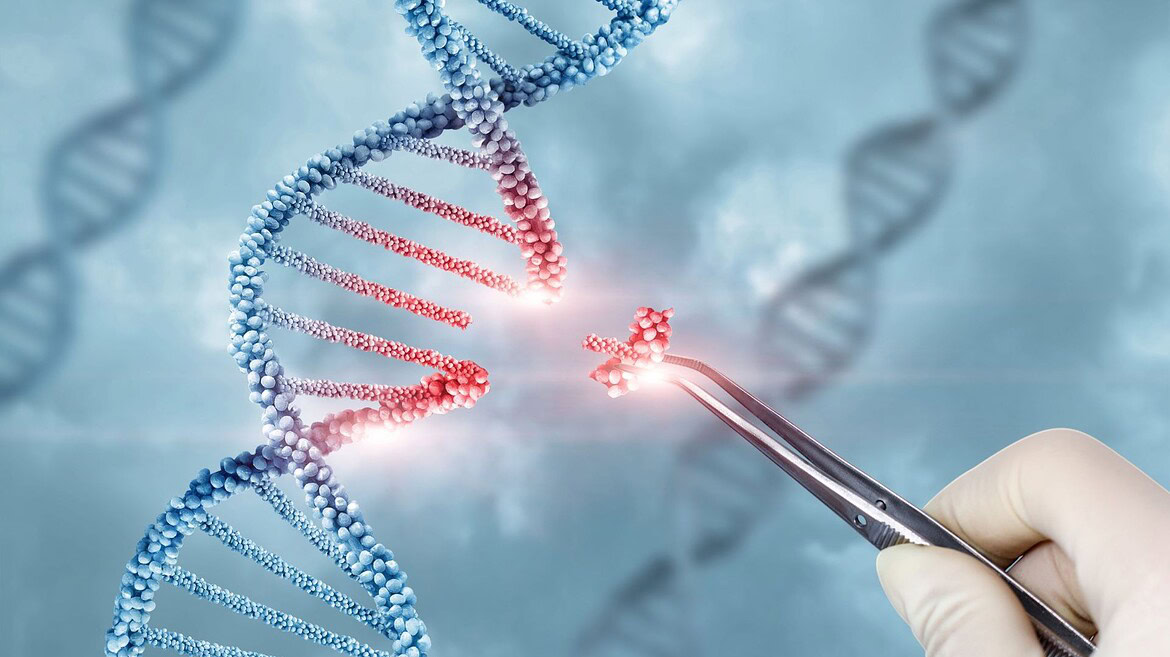 Editing genetico sul cervello: bimba di 6 anni muore in Cina