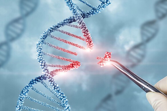 Editing genetico sul cervello: bimba di 6 anni muore in Cina