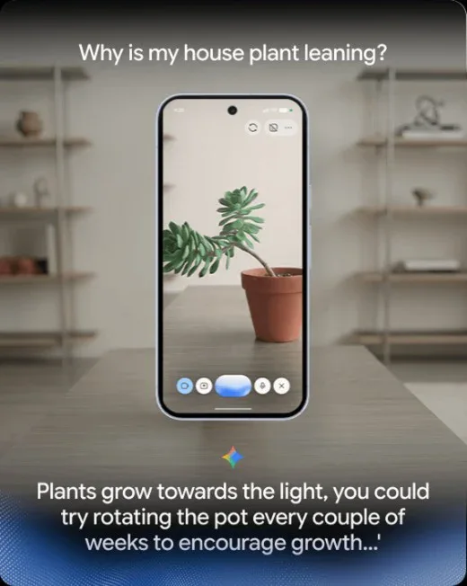 Pixel 11 Google PIxel 11
