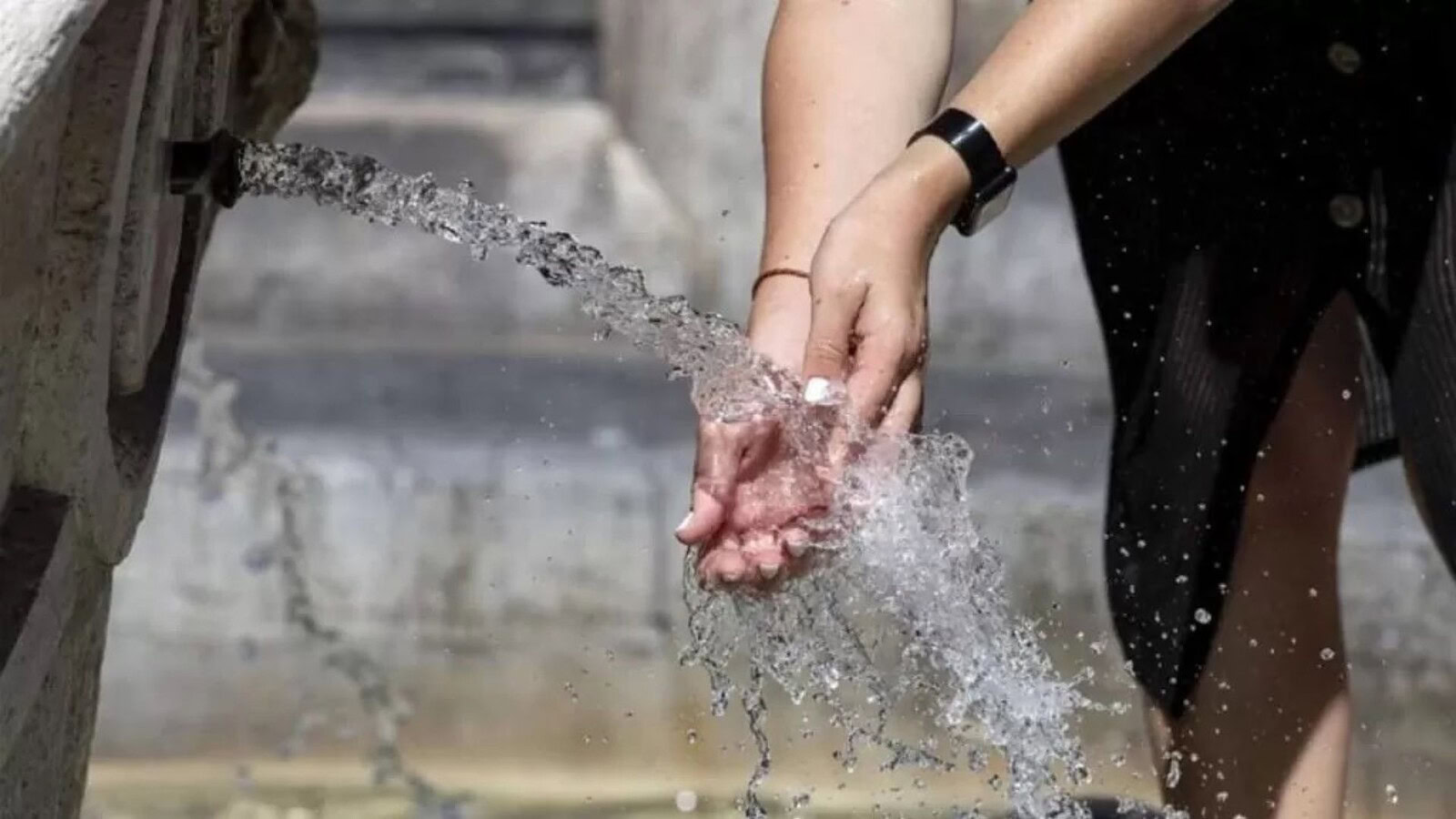 Ondata di caldo in Europa: temperature record e centinaia di vittime