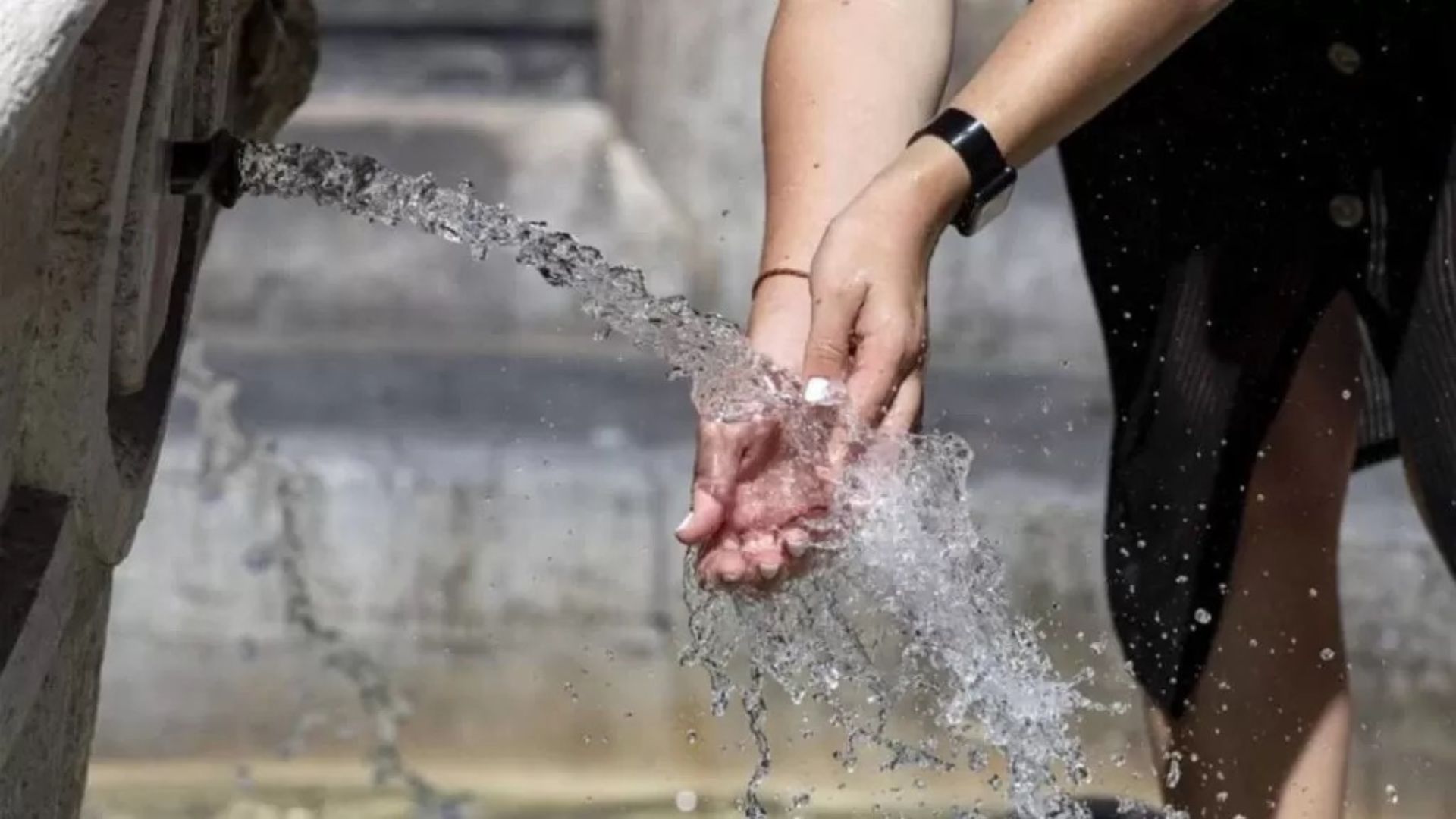 Ondata di caldo in Europa: temperature record e centinaia di vittime
