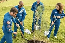 Moon Tree NASA: l’equipaggio di Artemis II pianta il pino lunare