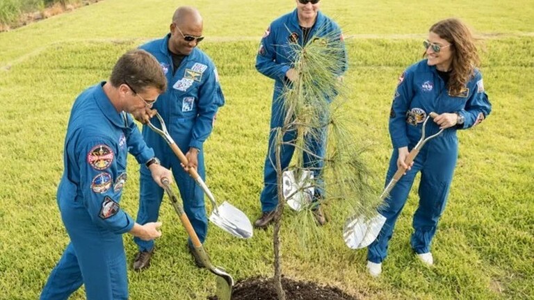 Moon Tree NASA: l'equipaggio di Artemis II pianta il pino lunare