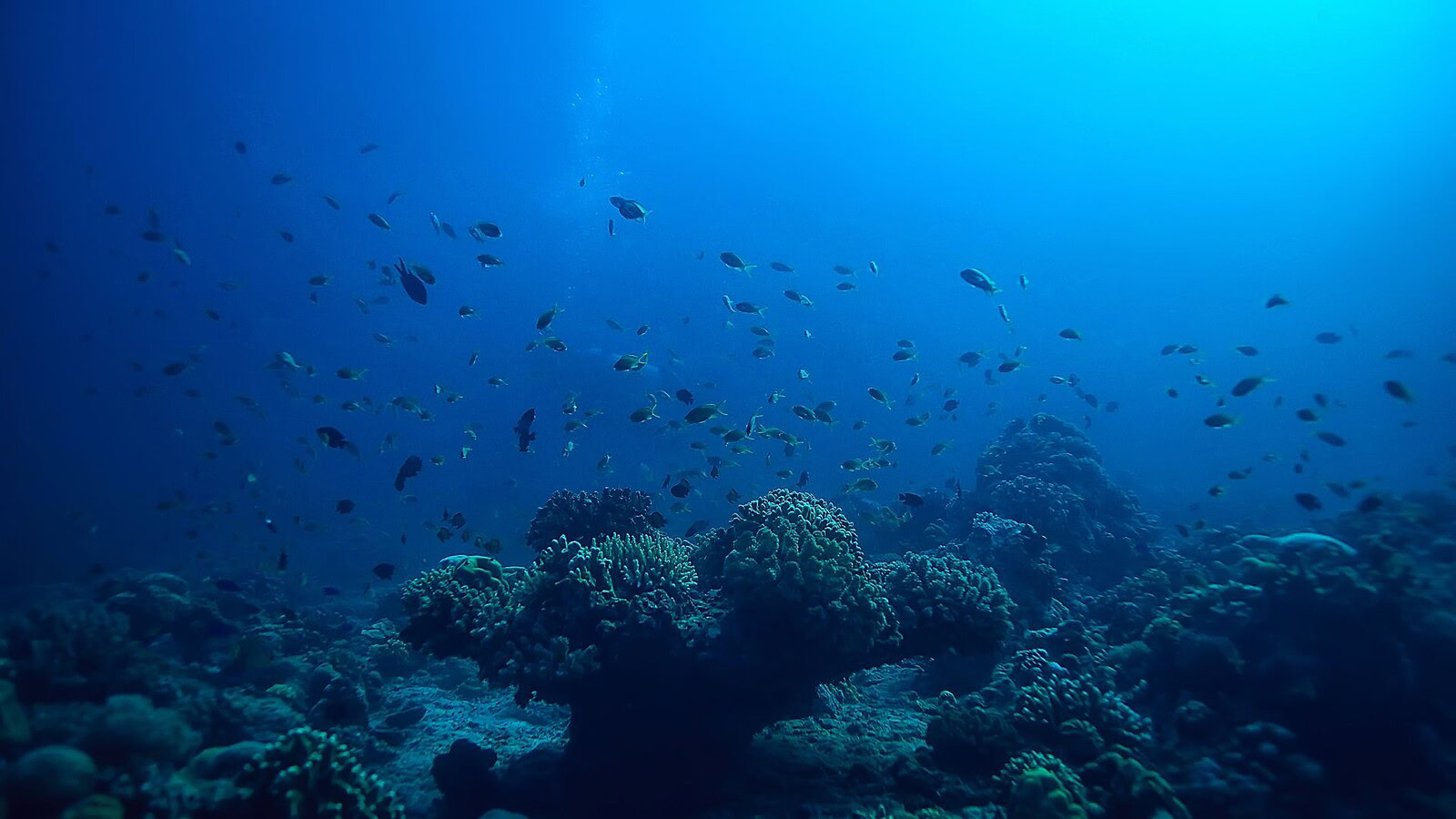 laboratorio sottomarino